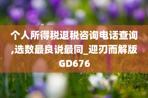 个人所得税退税咨询电话查询,选数最良说最同_迎刃而解版GD676