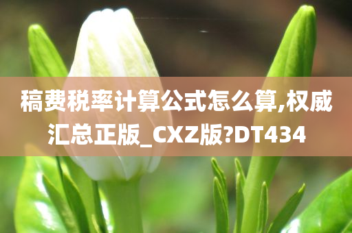 稿费税率计算公式怎么算,权威汇总正版_CXZ版?DT434