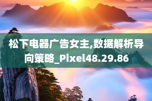 松下电器广告女主,数据解析导向策略_Pixel48.29.86