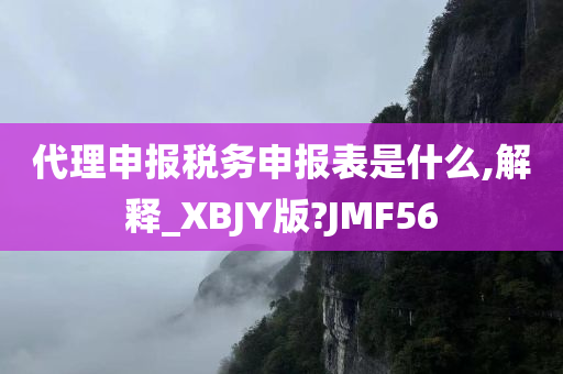 代理申报税务申报表是什么,解释_XBJY版?JMF56