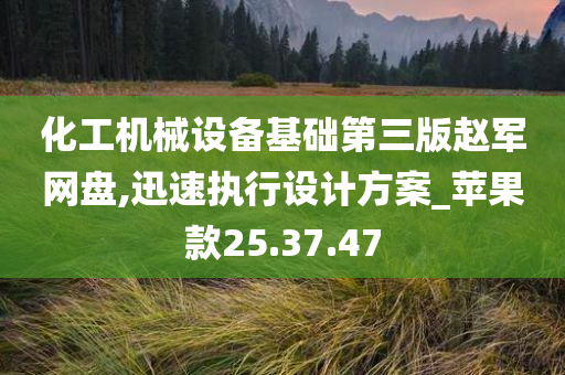 化工机械设备基础第三版赵军网盘,迅速执行设计方案_苹果款25.37.47