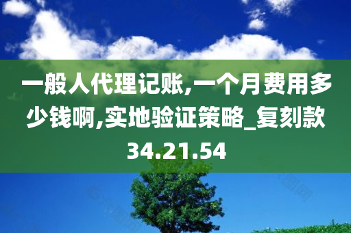 一般人代理记账,一个月费用多少钱啊,实地验证策略_复刻款34.21.54