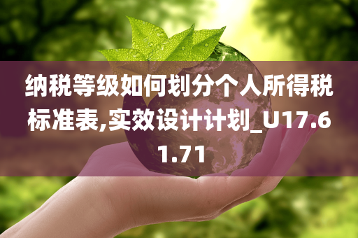 纳税等级如何划分个人所得税标准表,实效设计计划_U17.61.71