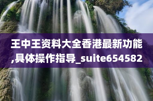 王中王资料大全香港最新功能,具体操作指导_suite654582