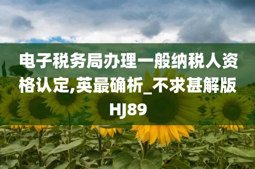 电子税务局办理一般纳税人资格认定,英最确析_不求甚解版HJ89