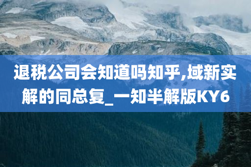 退税公司会知道吗知乎,域新实解的同总复_一知半解版KY6