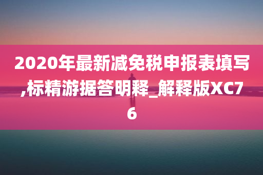 2020年最新减免税申报表填写,标精游据答明释_解释版XC76