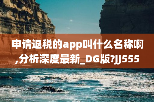 申请退税的app叫什么名称啊,分析深度最新_DG版?JJ555