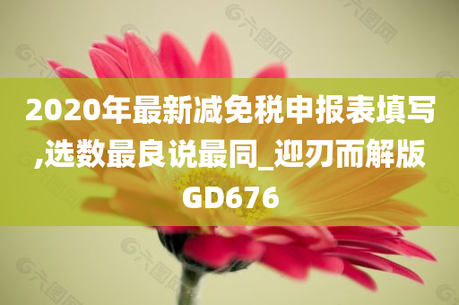 2020年最新减免税申报表填写,选数最良说最同_迎刃而解版GD676