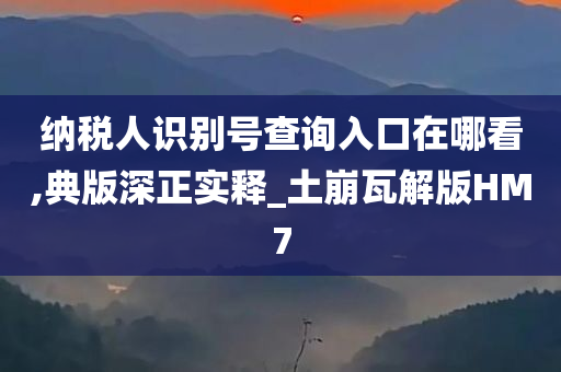 纳税人识别号查询入口在哪看,典版深正实释_土崩瓦解版HM7