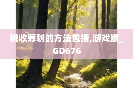 税收筹划的方法包括,游戏版_GD676