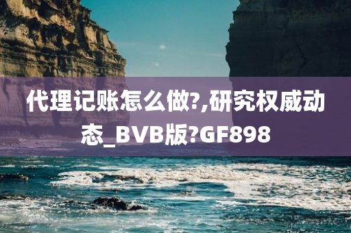 代理记账怎么做?,研究权威动态_BVB版?GF898