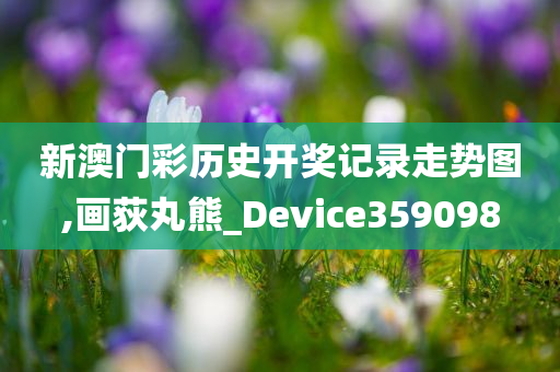 新澳门彩历史开奖记录走势图,画荻丸熊_Device359098