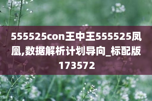 555525con王中王555525凤凰,数据解析计划导向_标配版173572