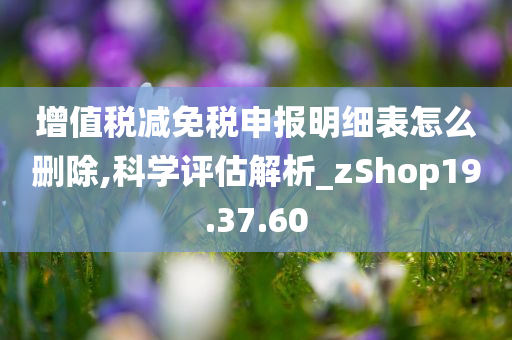 增值税减免税申报明细表怎么删除,科学评估解析_zShop19.37.60