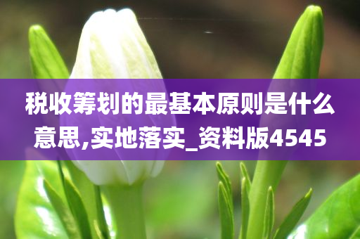 税收筹划的最基本原则是什么意思,实地落实_资料版4545