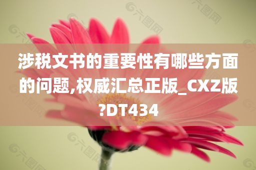 涉税文书的重要性有哪些方面的问题,权威汇总正版_CXZ版?DT434