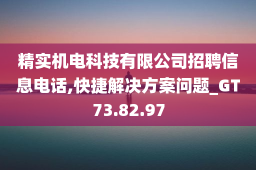 精实机电科技有限公司招聘信息电话,快捷解决方案问题_GT73.82.97