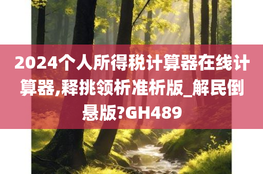 2024个人所得税计算器在线计算器,释挑领析准析版_解民倒悬版?GH489