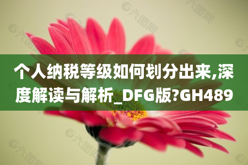 个人纳税等级如何划分出来,深度解读与解析_DFG版?GH489