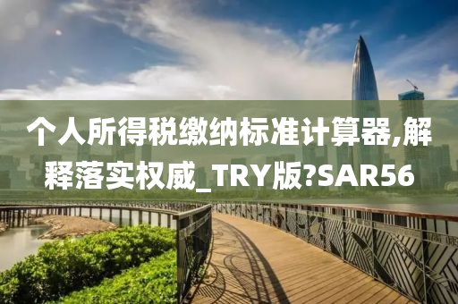 个人所得税缴纳标准计算器,解释落实权威_TRY版?SAR56