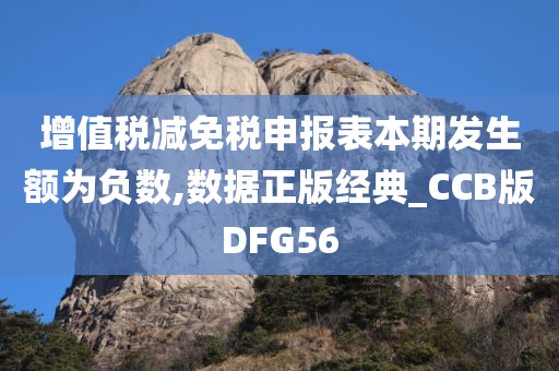 增值税减免税申报表本期发生额为负数,数据正版经典_CCB版DFG56