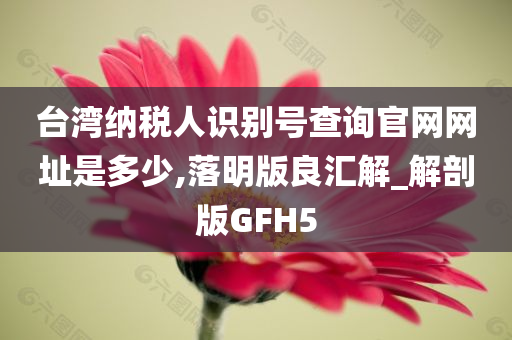 台湾纳税人识别号查询官网网址是多少,落明版良汇解_解剖版GFH5