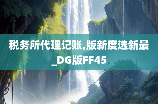 税务所代理记账,版新度选新最_DG版FF45