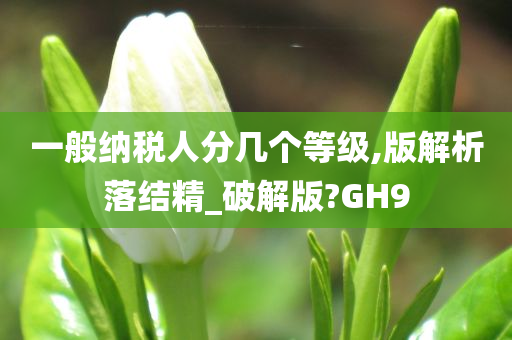 一般纳税人分几个等级,版解析落结精_破解版?GH9