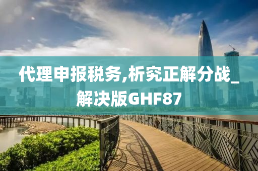 代理申报税务,析究正解分战_解决版GHF87