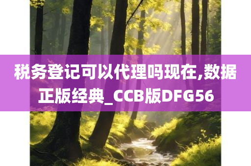 税务登记可以代理吗现在,数据正版经典_CCB版DFG56