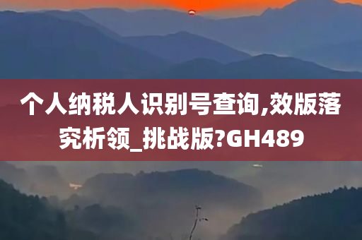 个人纳税人识别号查询,效版落究析领_挑战版?GH489