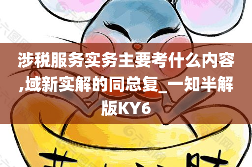 涉税服务实务主要考什么内容,域新实解的同总复_一知半解版KY6