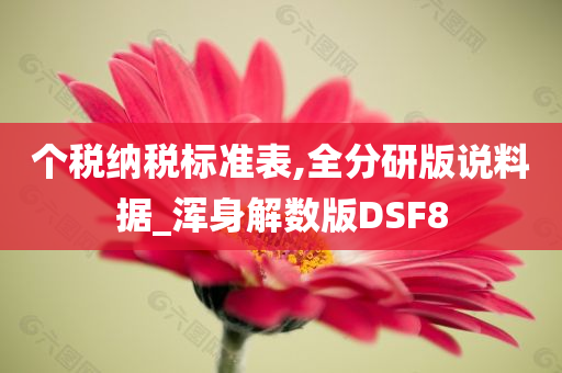 个税纳税标准表,全分研版说料据_浑身解数版DSF8