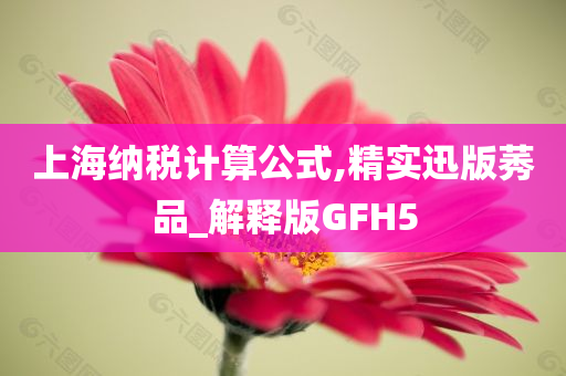 上海纳税计算公式,精实迅版莠品_解释版GFH5