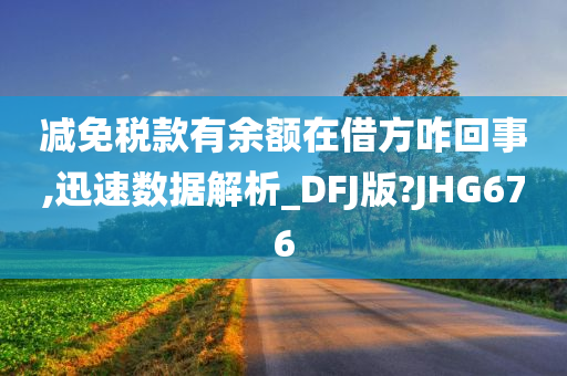 减免税款有余额在借方咋回事,迅速数据解析_DFJ版?JHG676