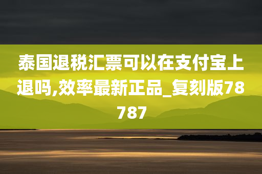 泰国退税汇票可以在支付宝上退吗,效率最新正品_复刻版78787