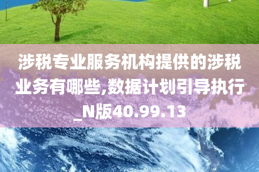 涉税专业服务机构提供的涉税业务有哪些,数据计划引导执行_N版40.99.13