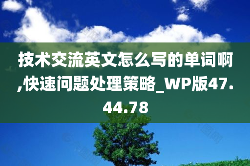 技术交流英文怎么写的单词啊,快速问题处理策略_WP版47.44.78