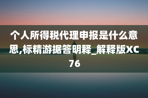 个人所得税代理申报是什么意思,标精游据答明释_解释版XC76