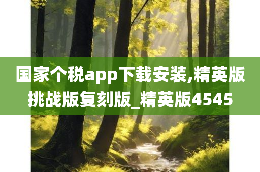 国家个税app下载安装,精英版挑战版复刻版_精英版4545