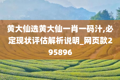 黄大仙选黄大仙一肖一码汁,必定现状评估解析说明_网页款295896