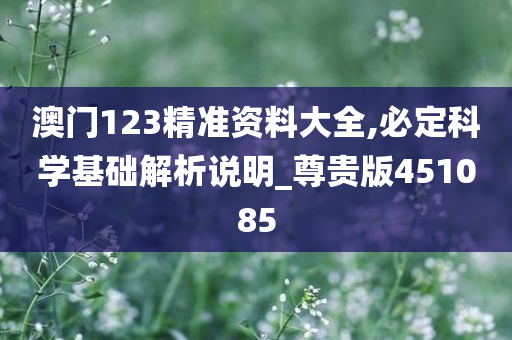 澳门123精准资料大全,必定科学基础解析说明_尊贵版451085