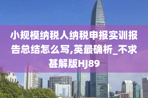 小规模纳税人纳税申报实训报告总结怎么写,英最确析_不求甚解版HJ89