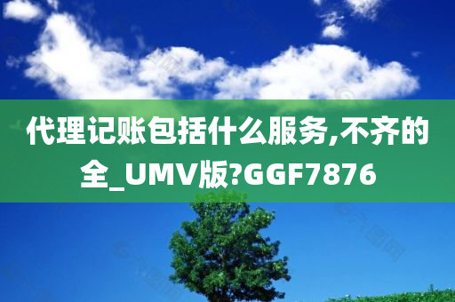 代理记账包括什么服务,不齐的全_UMV版?GGF7876