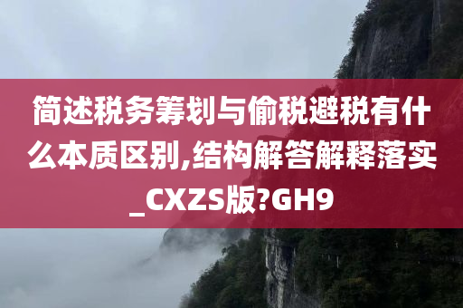 简述税务筹划与偷税避税有什么本质区别,结构解答解释落实_CXZS版?GH9