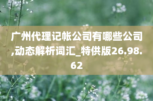 广州代理记帐公司有哪些公司,动态解析词汇_特供版26.98.62