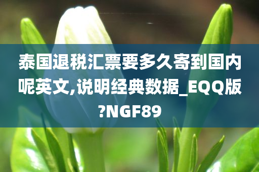 泰国退税汇票要多久寄到国内呢英文,说明经典数据_EQQ版?NGF89