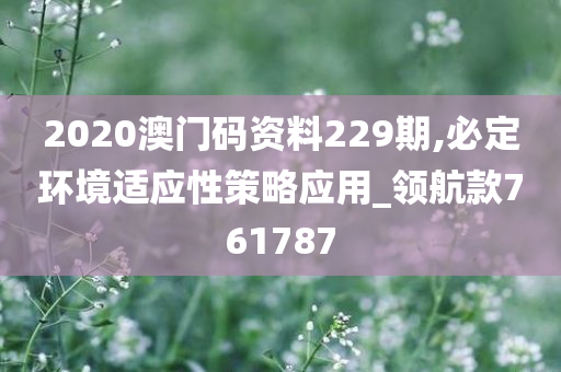 2020澳门码资料229期,必定环境适应性策略应用_领航款761787