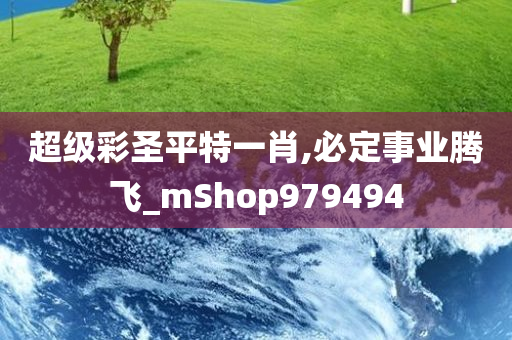 超级彩圣平特一肖,必定事业腾飞_mShop979494